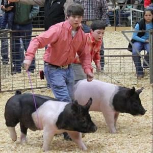 Meet your Posher, Braden